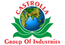 EARTH INDUSTRIES