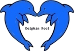 DOLPHIN POOL