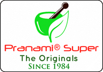 PRANAMI ELECTRONICS