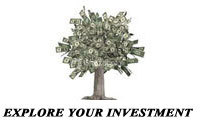 CASH TREE REALTY