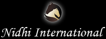 Nidhi International
