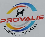PROVALIS (INDIA) HEALTH CARE