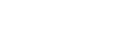 FACE IMPEX PVT.LTD