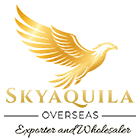 SkyAquila Overseas
