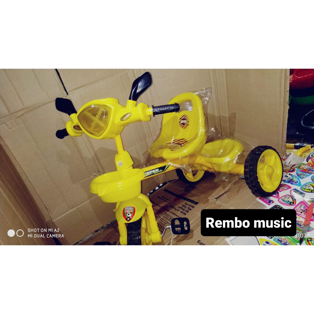 Rembo Music Tricycle For Kids, Pack Of 15