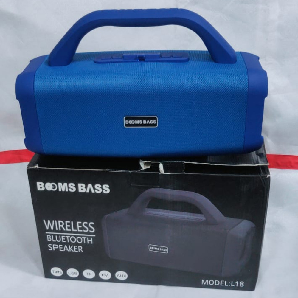 Zoom Star L-18 Wireless Speaker Assorted, 110 W