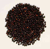 Animal Fodder