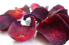 Dry Rose Petals