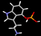 Phospahate Ester