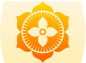 usp_product
