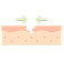 usp_product