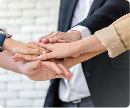 Distributorship Advantages