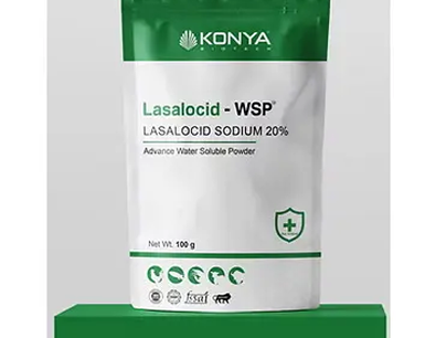 Distributorship requirements