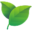 usp_product