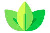usp_product
