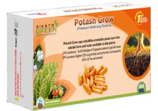 Distributorship Advantages