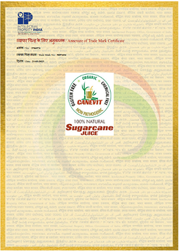certificate1
