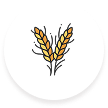 usp_product