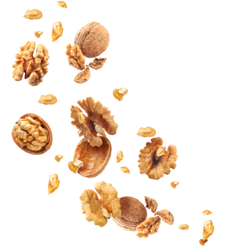 Distributorship Advantages