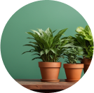 Our products are easy to maintain