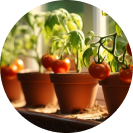 They have exceptional strength