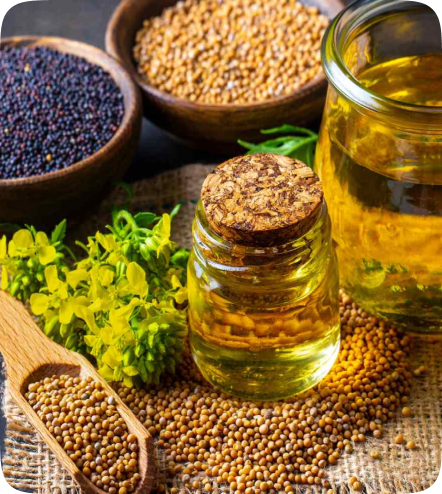 Distributorship Advantages