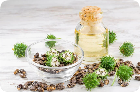 Distributorship requirements