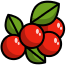 6 Berry Baby Bathing Bar
