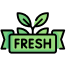 Fresh