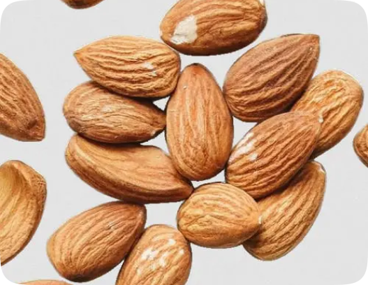 Distributorship Advantages