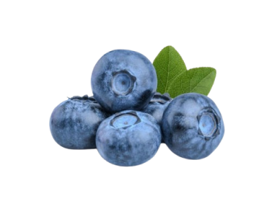 Distributorship requirements