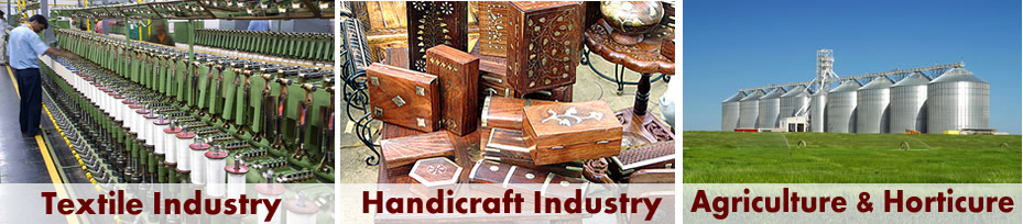  India Industrial Fair 2015