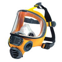 Chemical Respirator Mask