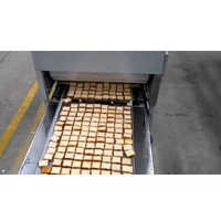 ब्रेड बेकिंग प्लांट