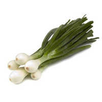 Spring Onion