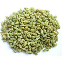 Green raisin