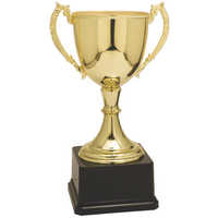 Award Cup, Size (inches): 13 at Rs 700/piece in Meerut