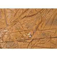 बीदासर मार्बल