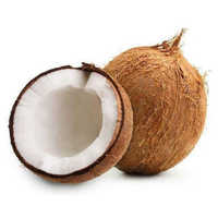 Mature Coconut