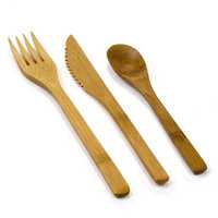 Wooden Disposable Cutlery