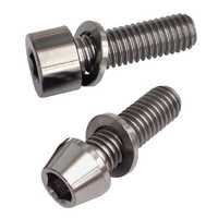 Titanium Fastener