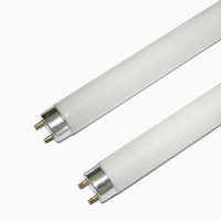 Fluorescent Tube