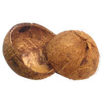 Raw Coconut Shell