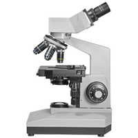 Compound Light Microscope