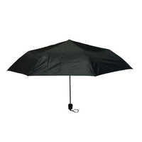 Regular Umbrella