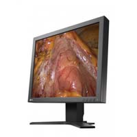 Surgical Monitor