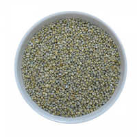 Bajra Seeds