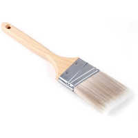 Polyester Brushes