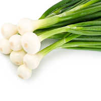 Natural Green Onions