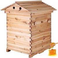 Bee Box